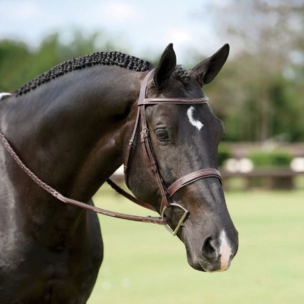 Dy'on Wide Nose Anatomic Hunter Bridle | Malvern Saddlery