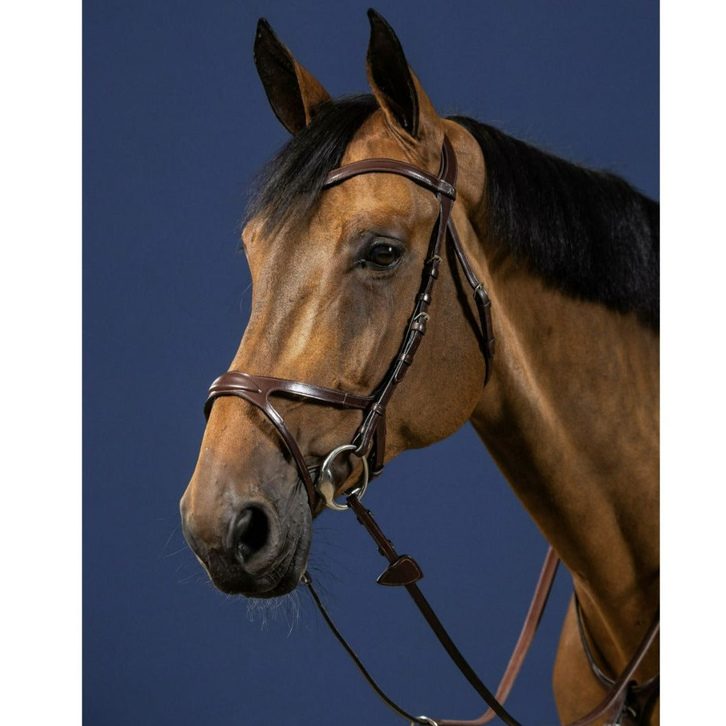 BENZ EQUESTRIAN Anatomical Leather Jumping Bridle – Headpiece & Browband – Black, Full/Cob