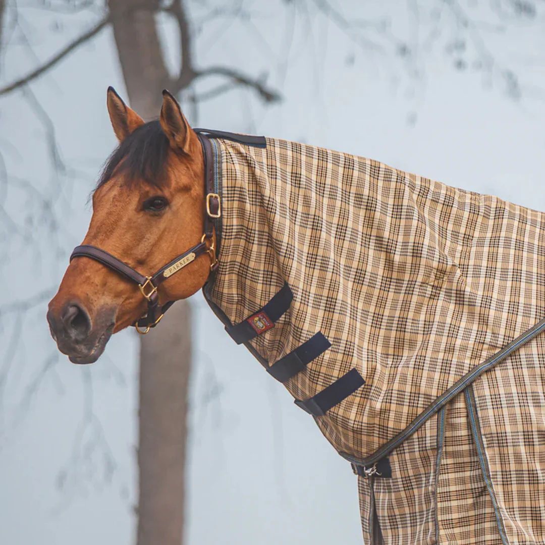 5/A Baker® Plaid Neck Cover 200g  | Horse Blankets & Sheets | Malvern Saddlery