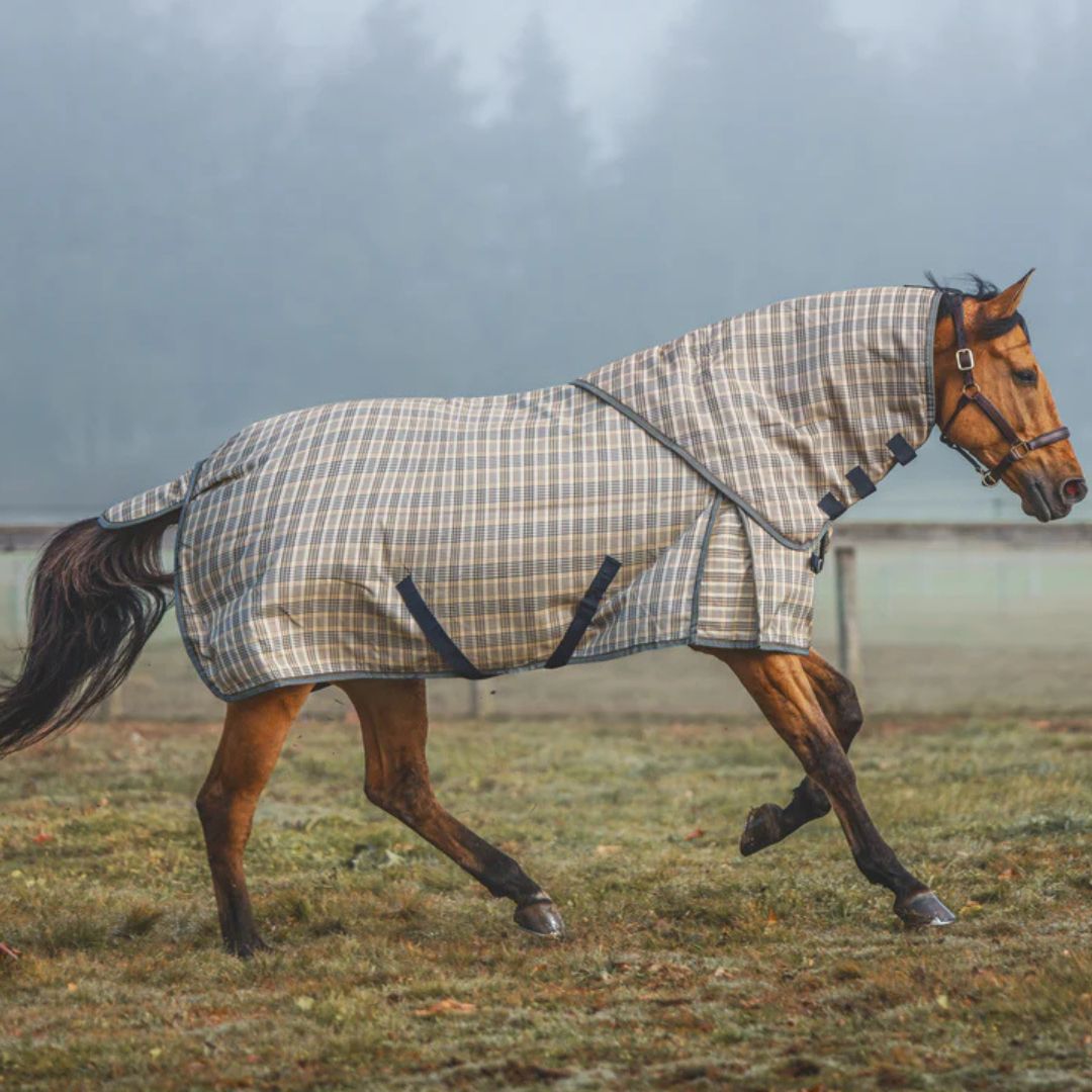 5/A Baker® Neck Cover 200g & Med Weight Blanket | Horse Blankets & Sheets | Malvern Saddlery