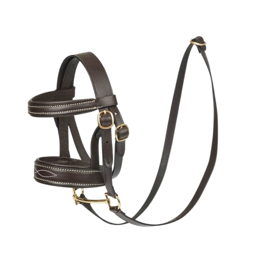 LeMieux Toy Pony accessory Bridle - Brown | Malvern Saddlery