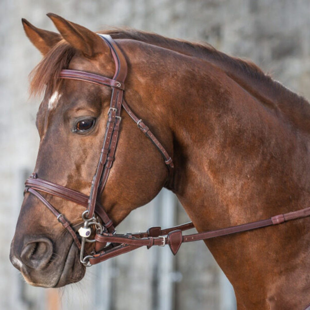 Dy'on Converter Rein - Brown, stainless steel hardware. Shown on Chesnut horse with bridle| Malvern Saddlery