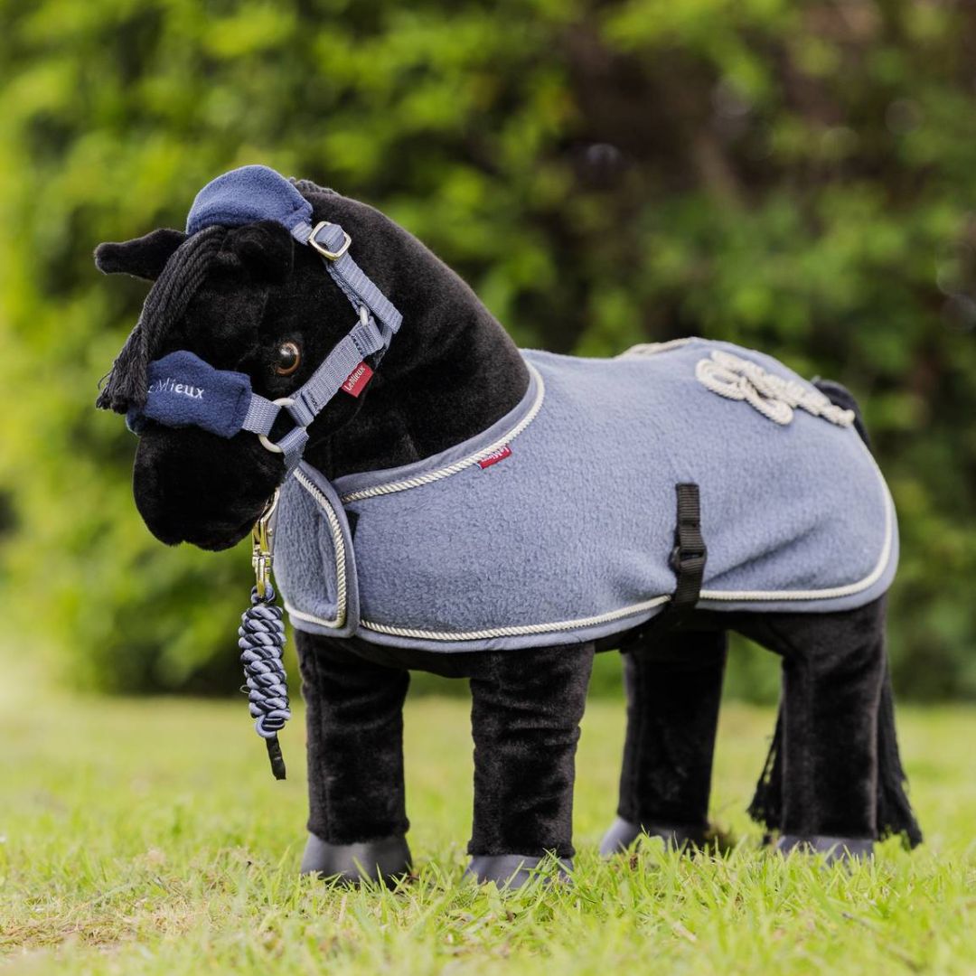 LeMieux Toy Pony Fleece Dress Cooler - Jay Blue, shown on 'Skye' with matching halter | Malvern Saddlery