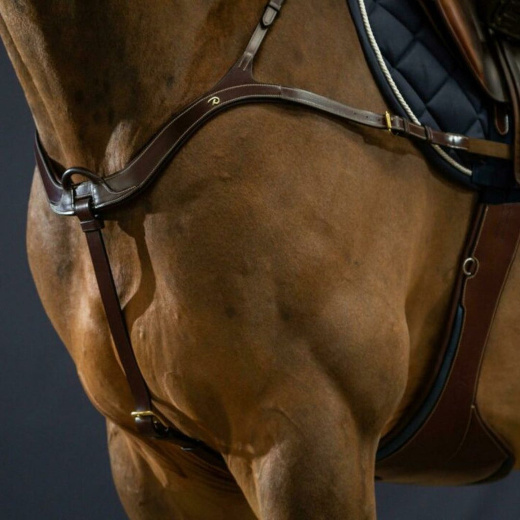 Dy'on Anatomic Breastplate - Brown, Cream Stitching, Brass Buckles - shown on horse attached to girth & saddle | Malvern Saddlery