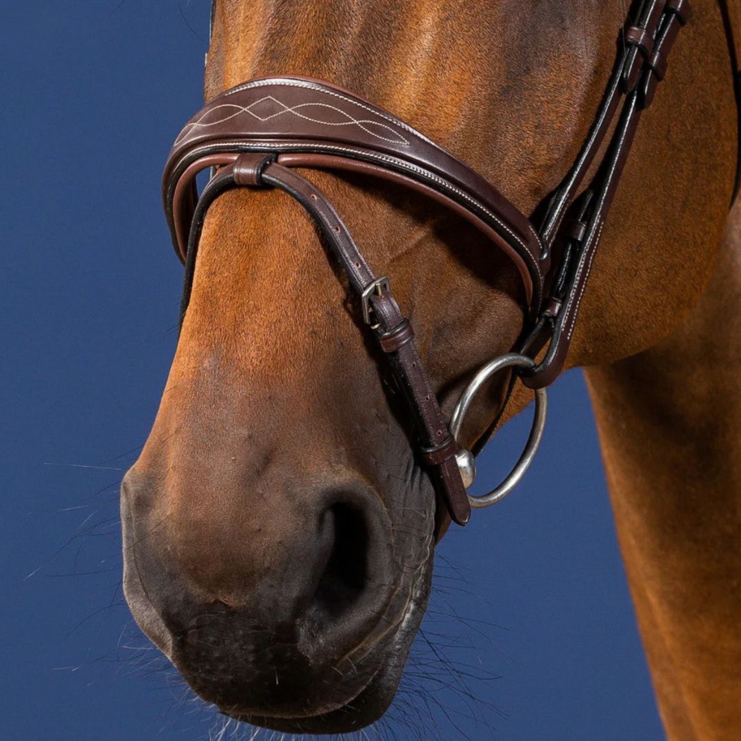 Dyon Anatomic Flash Jumper Bridle - Noseband Detail - Brown with Cream Fancy Stitching, Stainless Steel Hardware | Malvern Saddlery