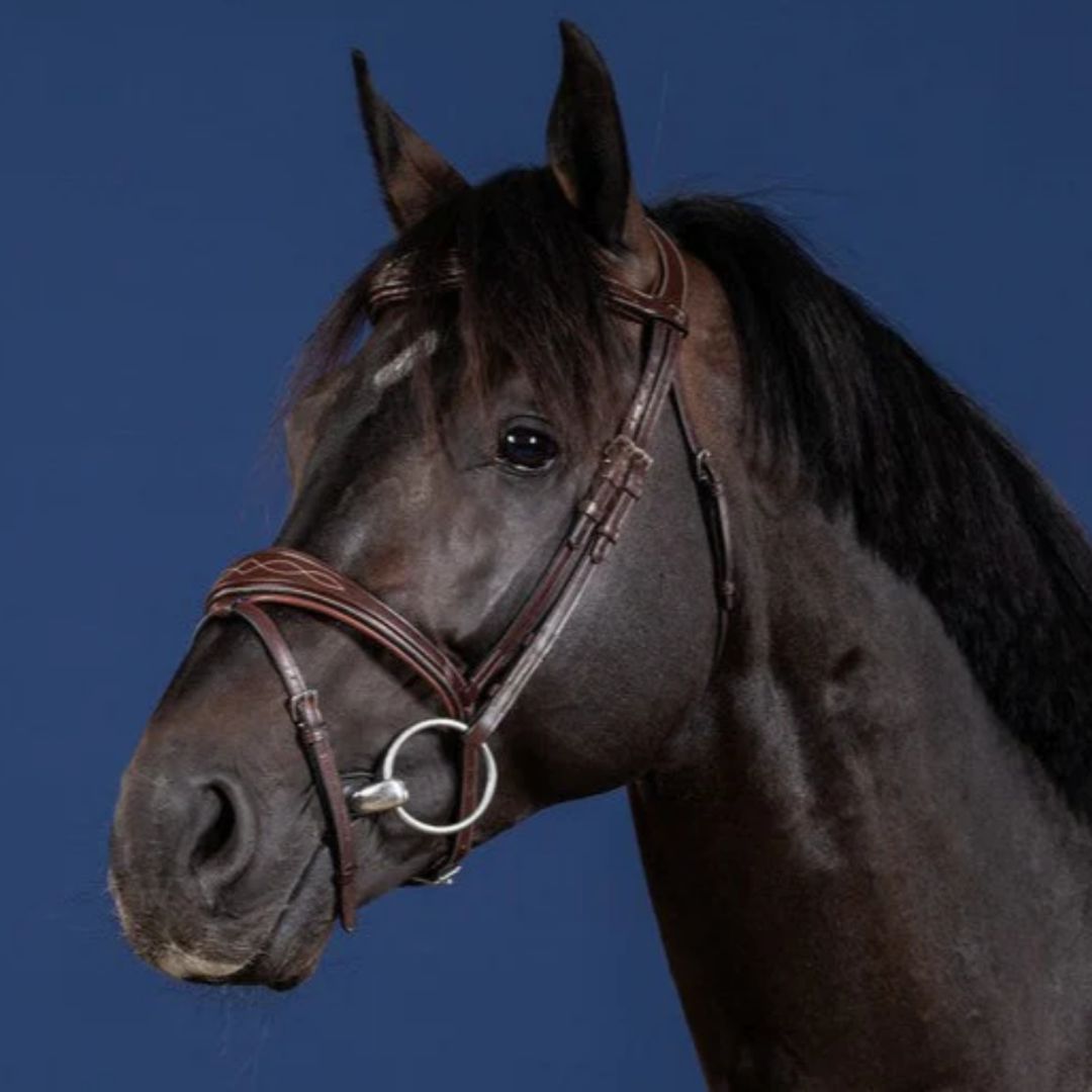 Dyon Anatomic Flash Jumper Bridle - Brown with Cream Fancy Stitching, Stainless Steel Hardware | Malvern Saddlery