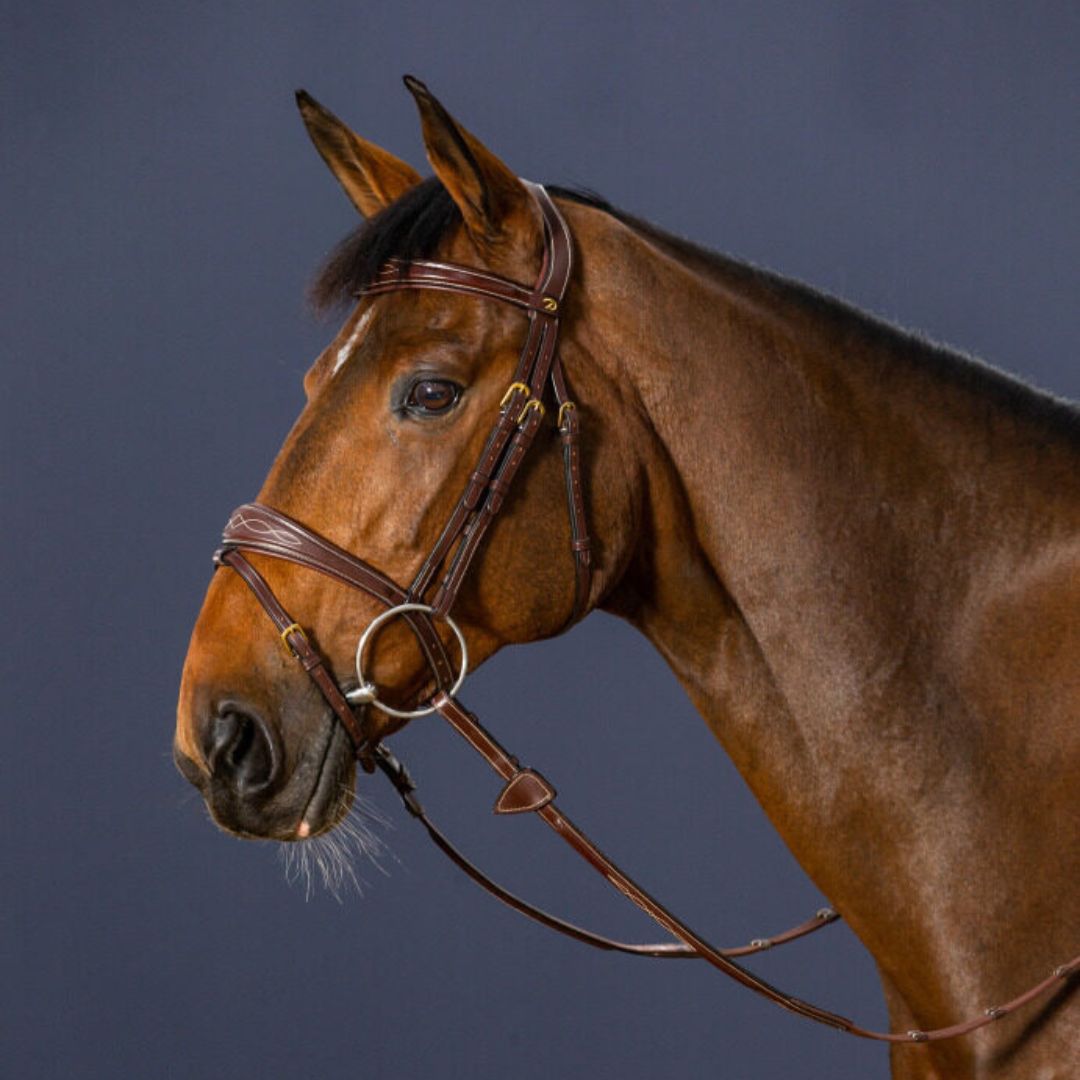 Dy'on Anatomic Flash Jumper Bridle - Brass Buckles with Cream Stitching | Malvern Saddlery