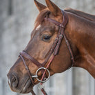 Dy'on Gag Cheeckpiece - New English - Brown, shown with bit & bridle on horse | Malvern Saddlery