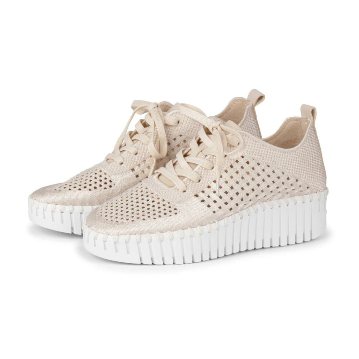 Ilse Jacobsen Tulip Platform Sneaker - Kit | Women's Shoes | Malvern Saddlery