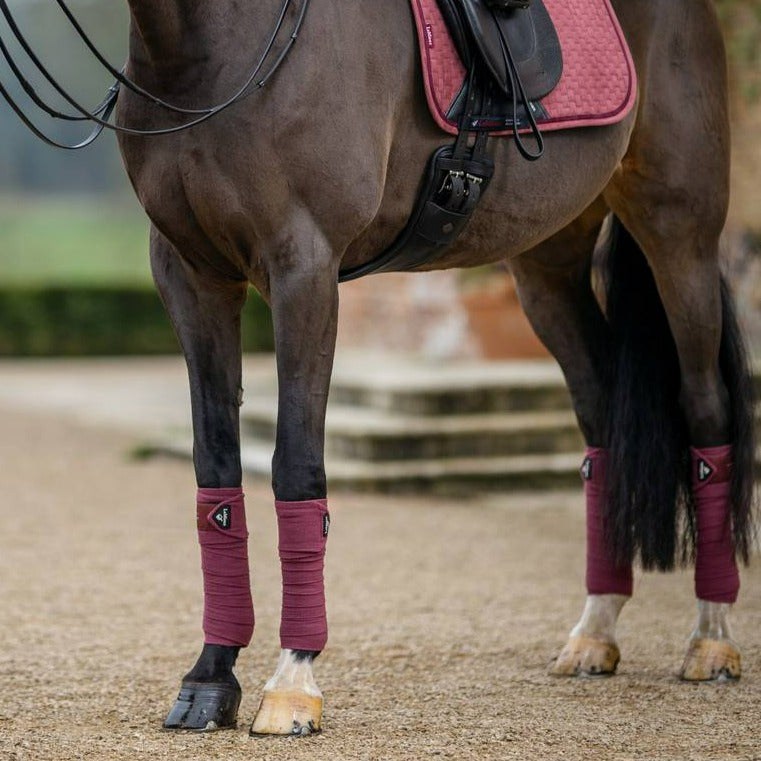 LeMieux Classic Polo Bandages - Orchid | Malvern Saddlery