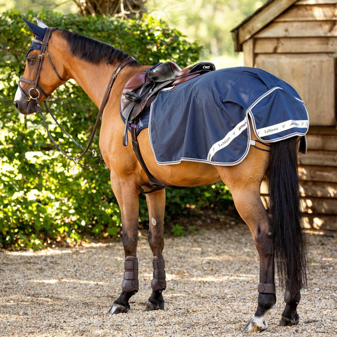 LeMieux Arika Waterproof Quarter Sheet - Navy | Malvern Saddlery