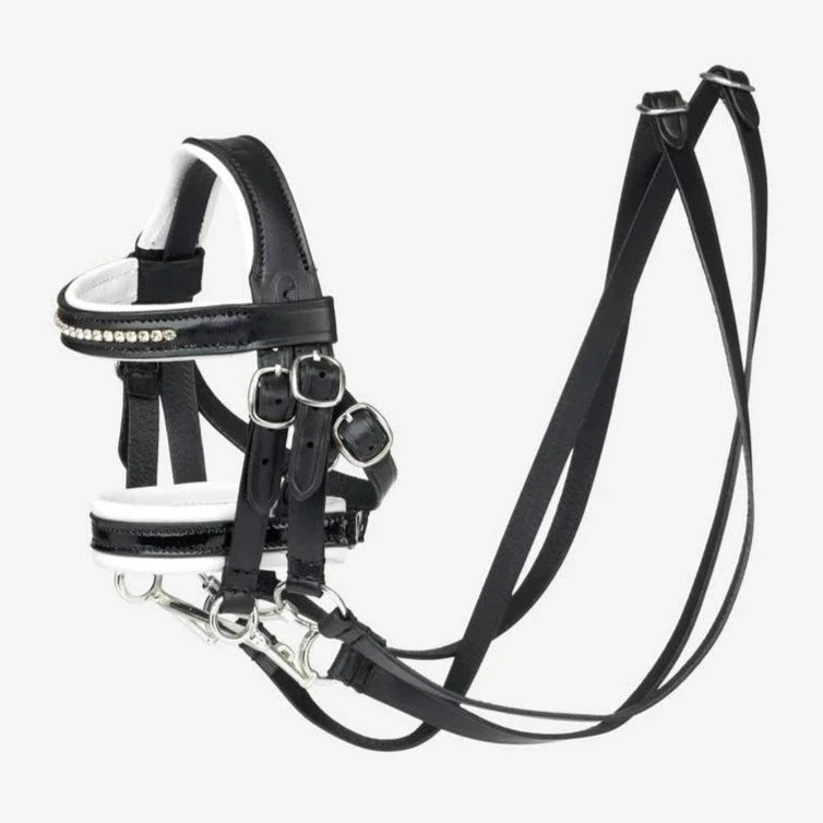 LeMieux Toy Pony Double Dressage Bridle | Malvern Saddlery