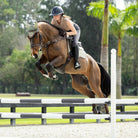 LeMieux Suede-Merino GP Saddle Pad - Fern, shown on Bay Horse with rider jumping | Malvern Saddlery