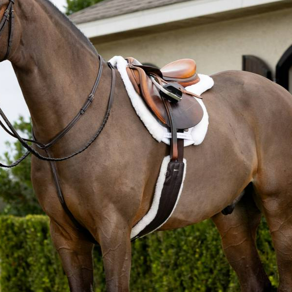 LeMieux Merino+ Hunter Saddle Pad - White/White | Malvern Saddlery