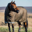 LeMieux Arika Ripstop 200g Turnout Blanket | Malvern Saddlery