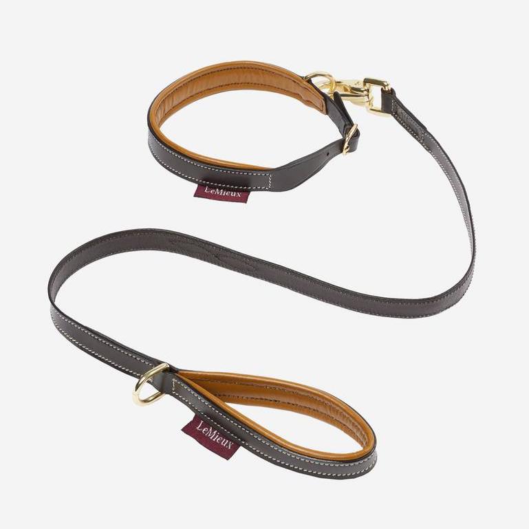 LeMieux Toy Puppy Accessory -  Leash & Collar - Alpine & Ginger | Malvern Saddlery