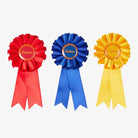 LeMieux Toy Pony - Horse show ribbons, set of 3 | Malvern Saddlery