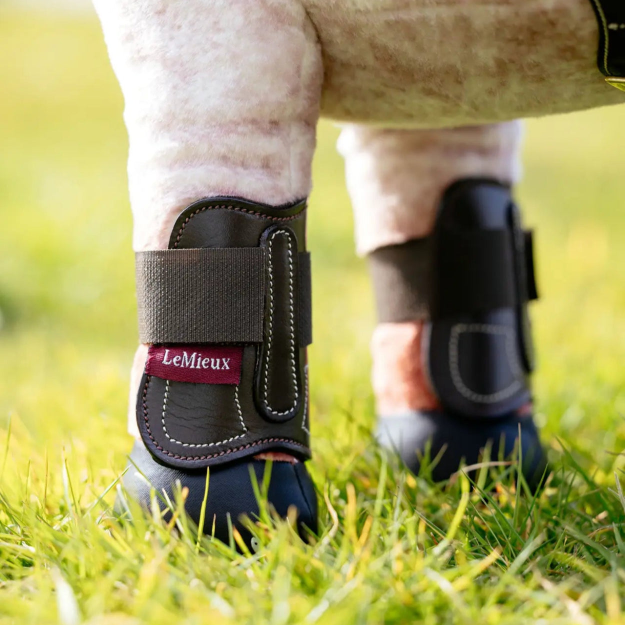 LeMieux Toy Pony Capella Boots - Brown | Malvern Saddlery