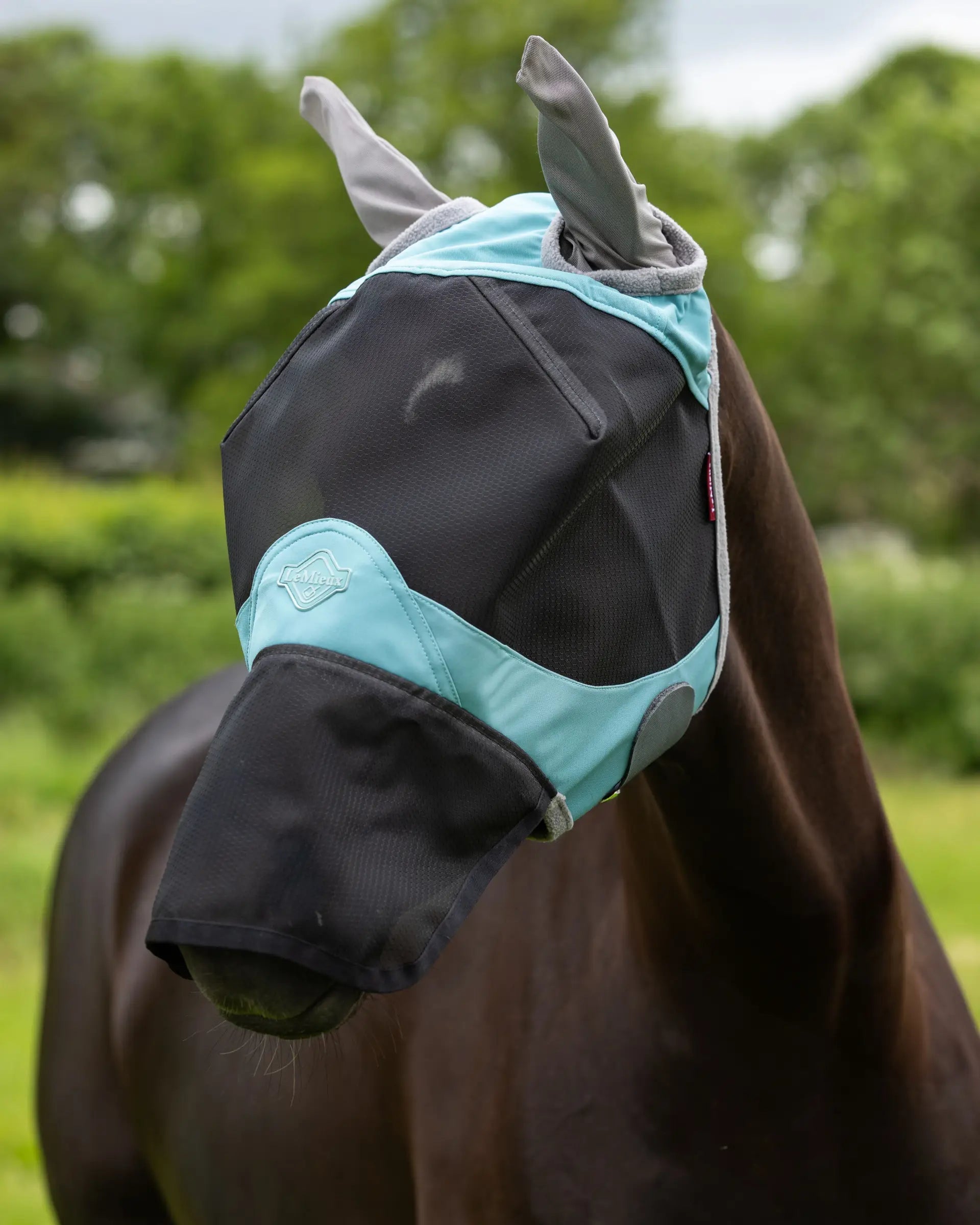 LeMieux Visor-Tek Full Fly Mask - Lagoon | Horse Care | Malvern Saddlery