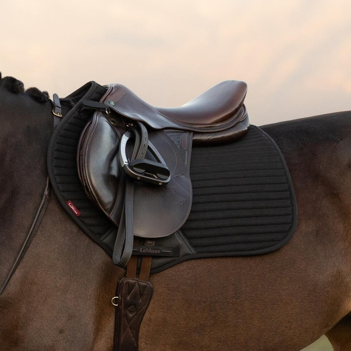 LeMieux Air-Tek Close Contact Square - Black; close up shown on horse with saddle, blurred outdoor background | Jumper Saddle Pads