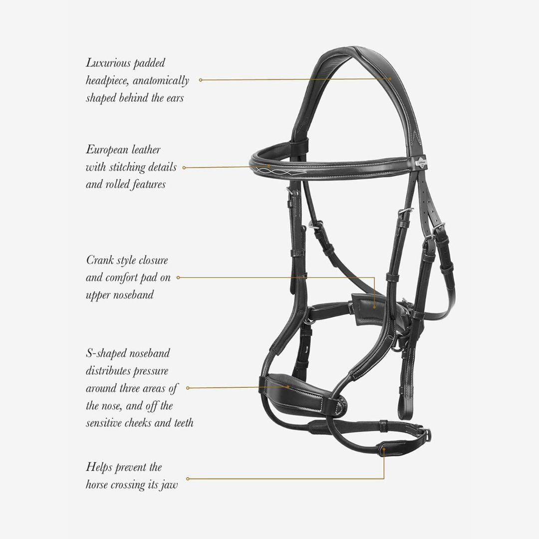 LeMieux Kudos Clear Arc Bridle - Black | Malvern Saddlery