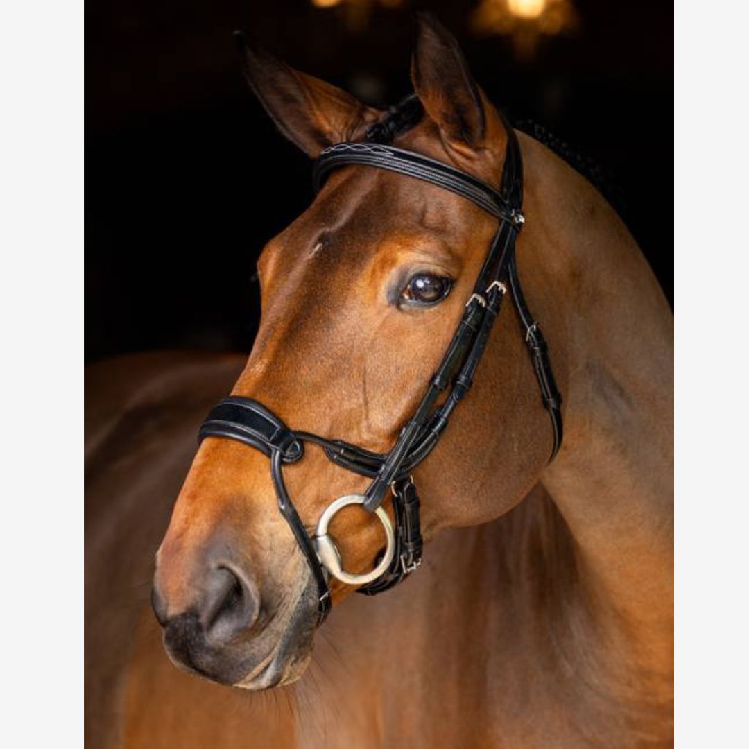 LeMieux Kudos Clear Arc Bridle - Black | Malvern Saddlery