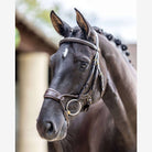 LeMieux Kudos Clear Arc Bridle -Havana | Malvern Saddlery