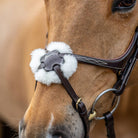 LeMieux Kudos Grackle Bridle - Malvern Saddlery