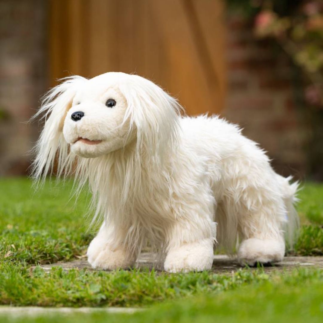 LeMieux Toy Puppy - Luna – Malvern Saddlery