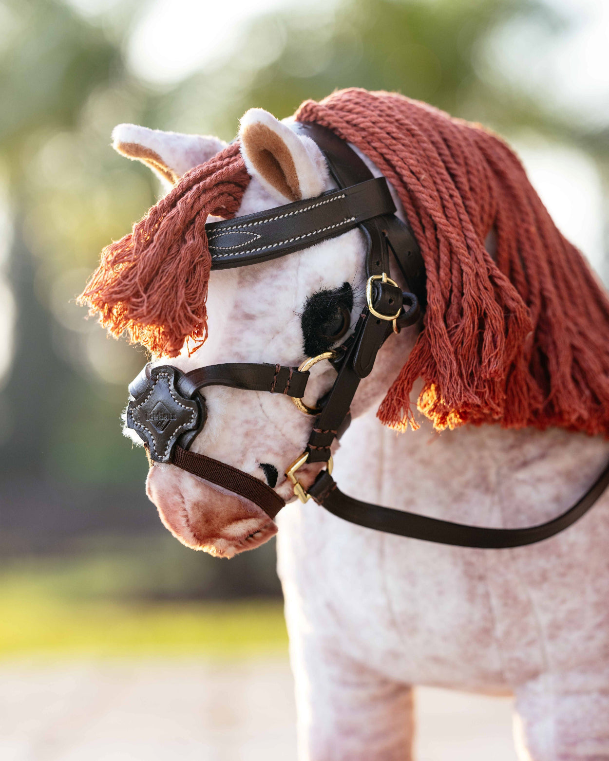 LeMieux Toy Pony Grackle Bridle, shown on "Poppy" | Malvern Saddlery
