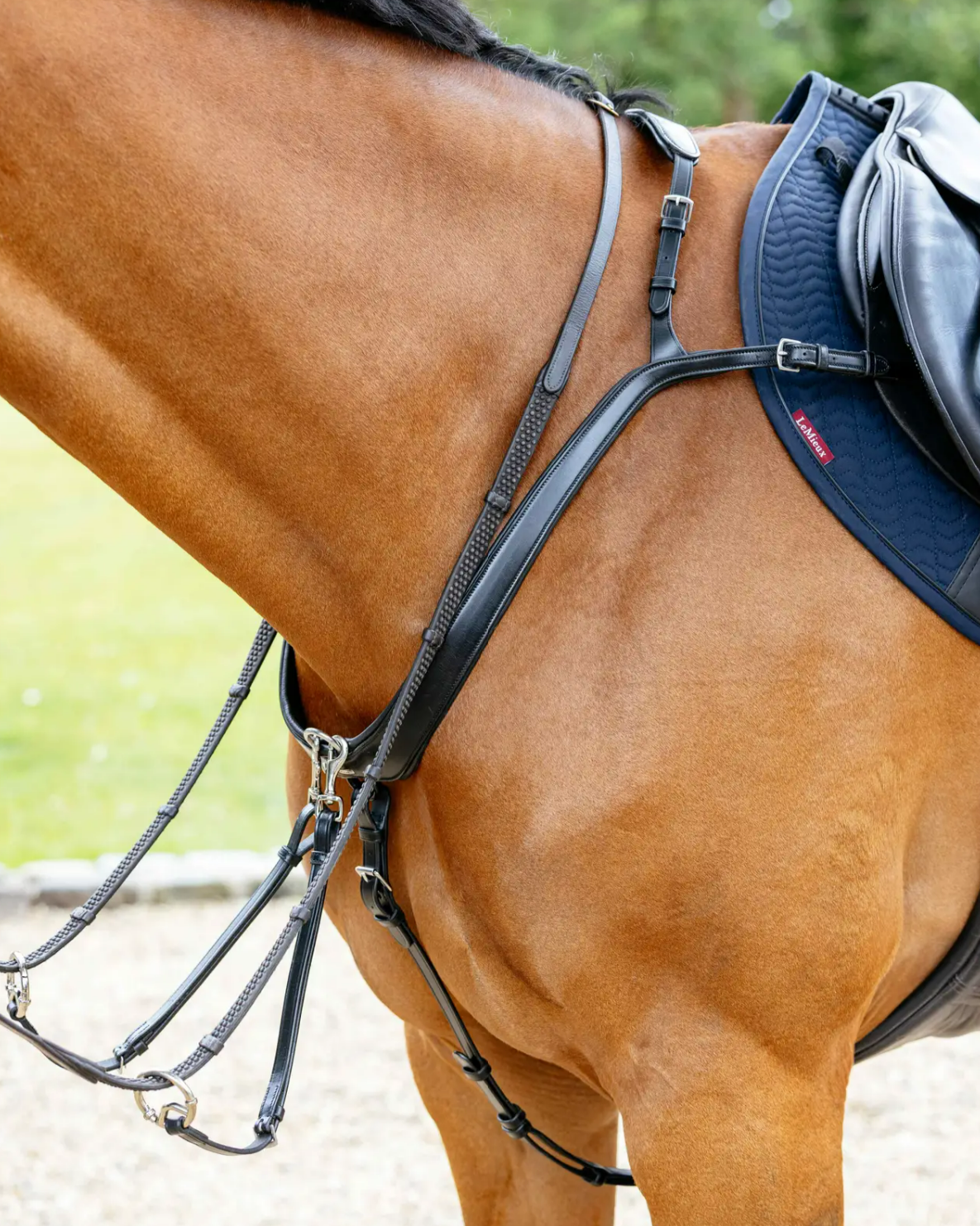 LeMieux Bridge Breastplate -Black, shown on chestnut horse with reins & other tack | Bridle Accessories | Malvern Saddlery