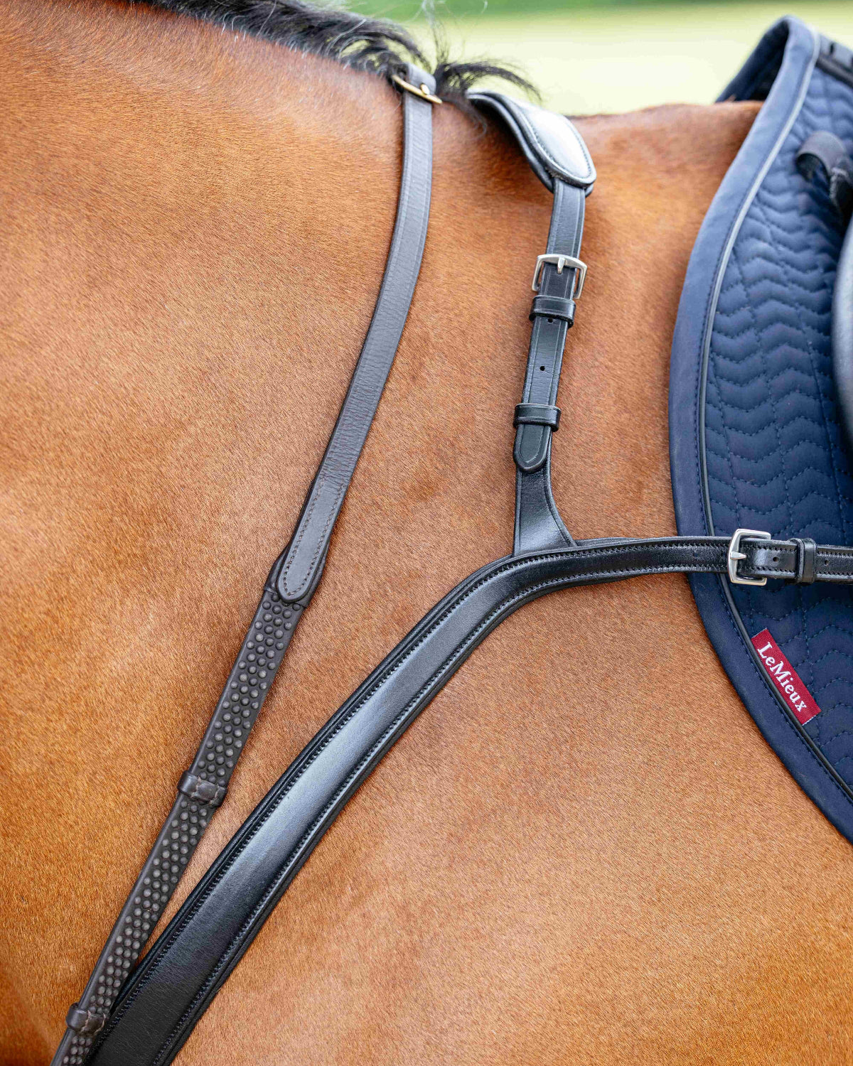 LeMieux Bridge Breastplate - Black, detail base of mane -shown on chestnut horse with reins & other tack | Bridle Accessories | Malvern Saddlery