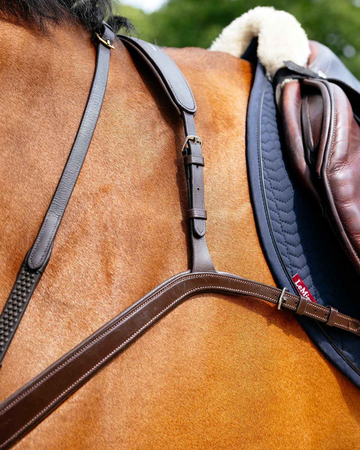 LeMieux Bridge Breastplate - Havana Brown, shoulder/withers details shown on chestnut horse with reins & other tack | Bridle Accessories | Malvern Saddlery