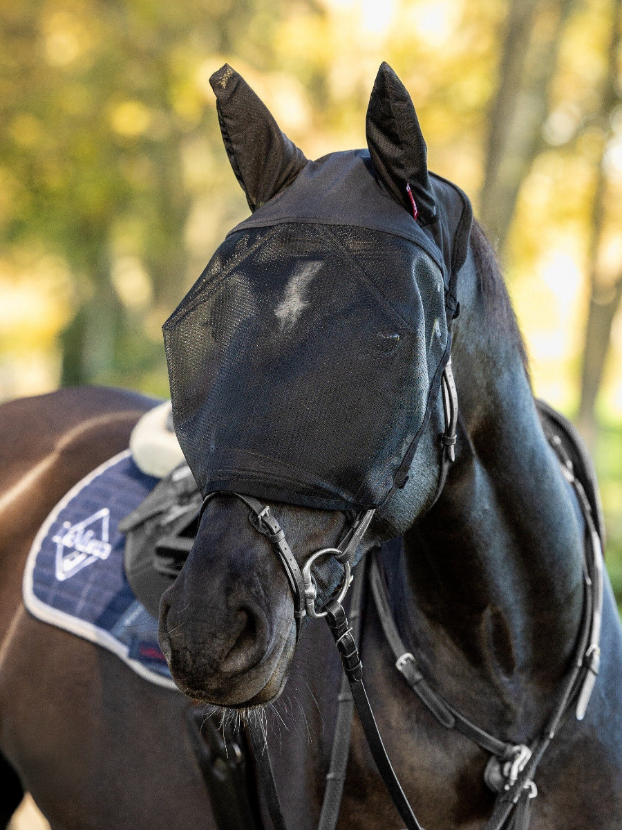 LeMieux Ride On Fly Mask - Black -  on Horse wearing a black fly mask with a blurred natural background | Malvern Saddlery