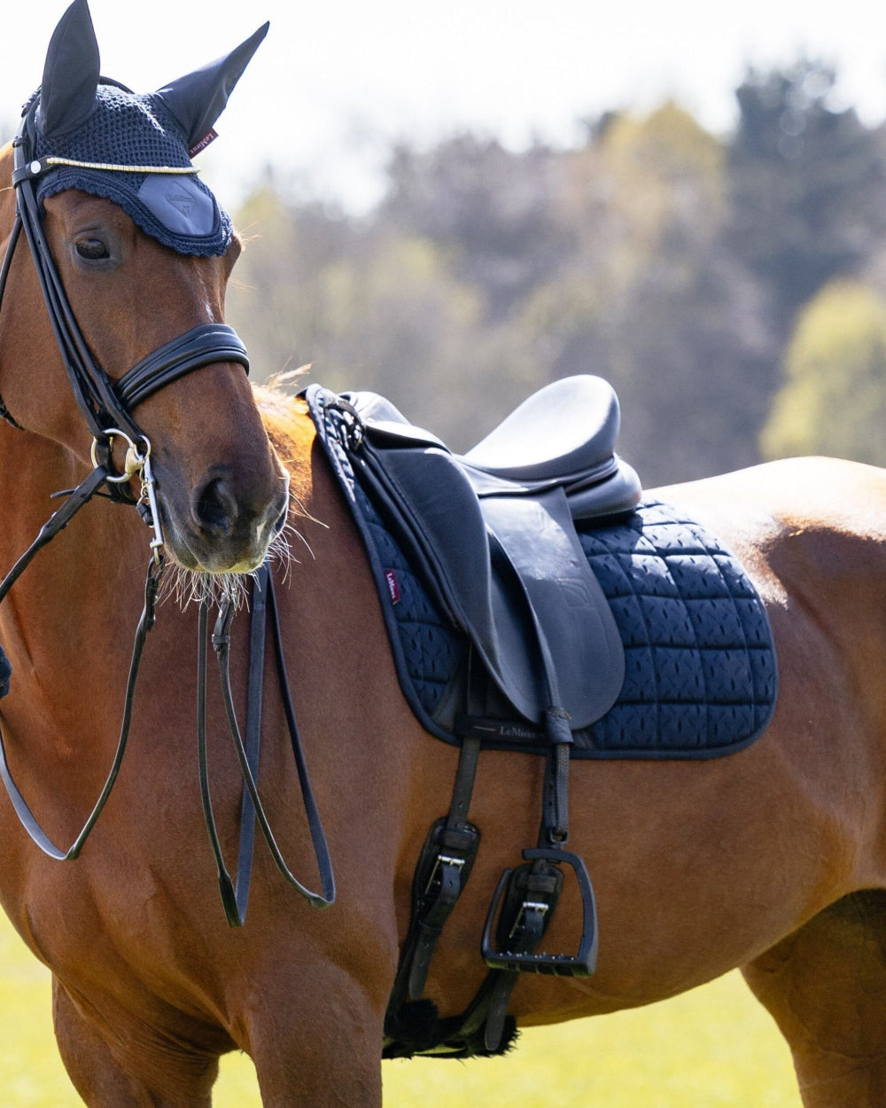 LeMieux 3D Mesh Self Cool Dressage Saddle Pad  - Navy blue  on a brown horse with saddle | Malvern Saddlery