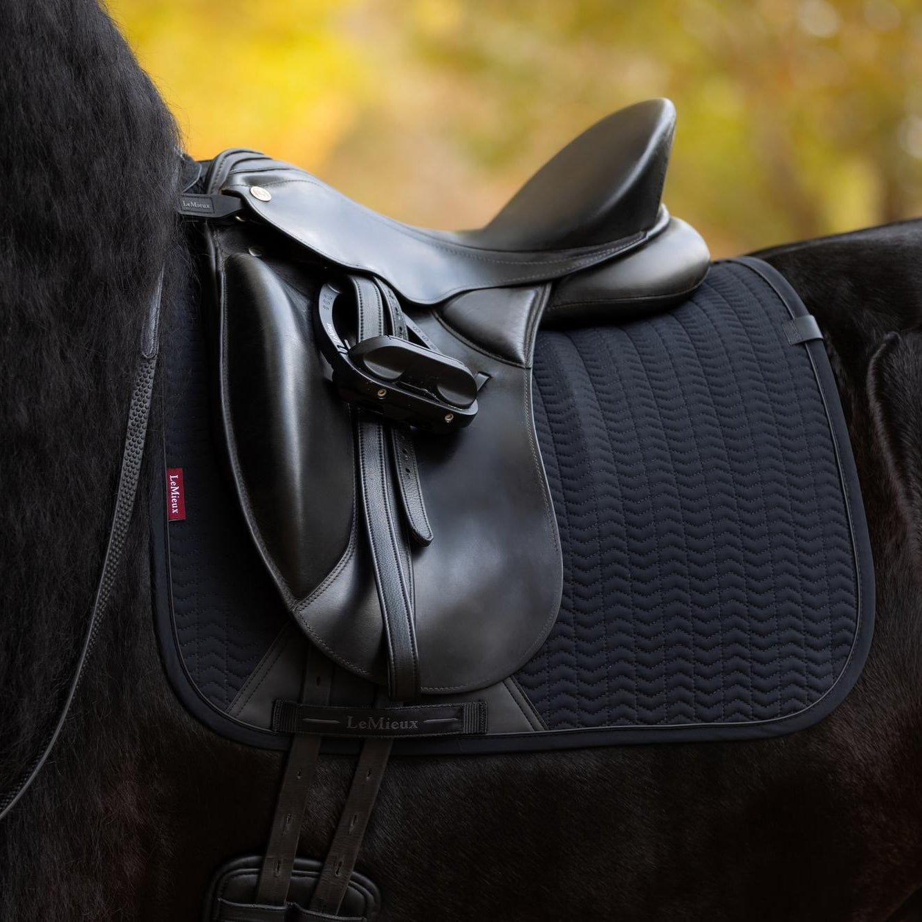 LeMieux Essence Dressage Saddle Pad -  on a horse with black saddle and a blurred natural background | Malvern Saddlery