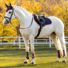 LeMieux Suede Close Contact Jumping Saddle Pad, Classic Ear Bonnet & horse boots - Navy/Cranberry onWhite horse with a saddle in an outdoor setting with trees and a fence  | Malvern Saddlery