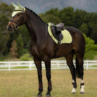 LeMieux Air-Tek Close Contact Square - Macaron [lt green]; shown on horse with tack outdoor background | Jumper Saddle Pad