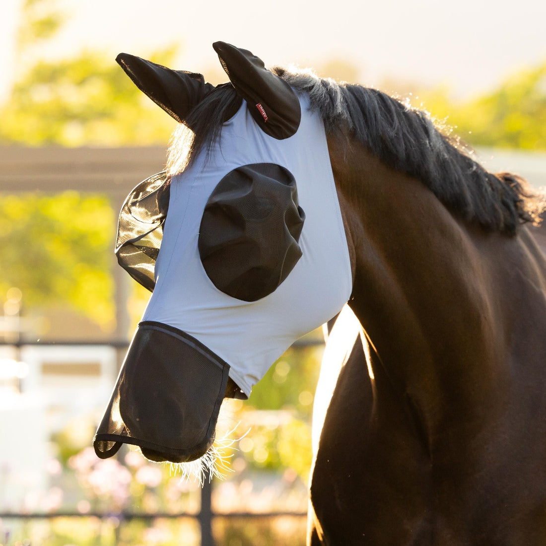 LeMieux Bug Relief Full Fly Mask - Powder Blue; on horse with outdoor background | Horse Fly Protections | Malvern Saddlery