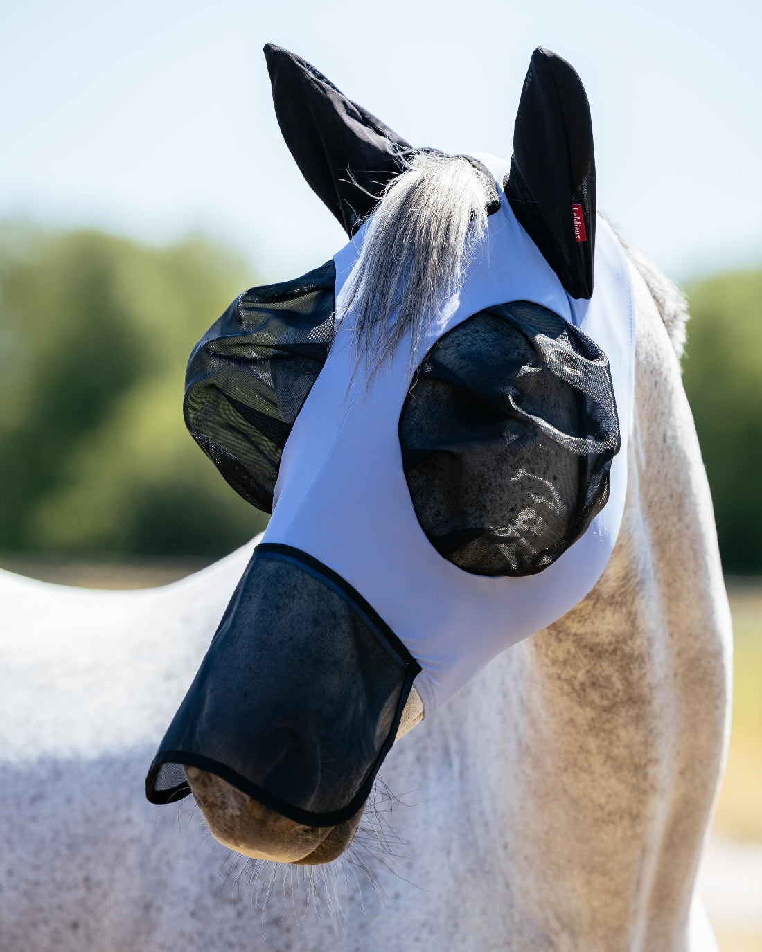 LeMieux Bug Relief Full Fly Mask - Powder Blue; on horse blurred outdoor background | Horse Fly Protections | Malvern Saddlery