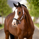 LeMieux Capella Horse Halter - Fondant Pink with Black Leather; shown on horse outdoors | Malvern Saddlery