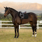 LeMieux Air-Tek Close Contact Square - Black; shown on horse with saddle, blurred outdoor background | Jumper Saddle Pads
