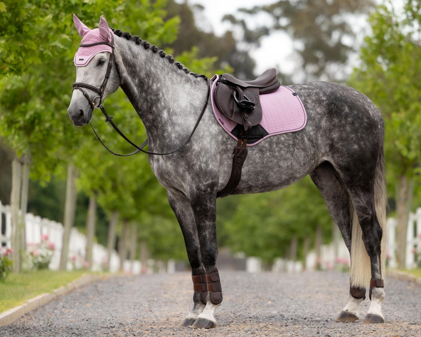 LeMieux Essence Close Contact Square Saddle Pad - Fondant Pink; on dappled gray horse with brown saddle outdoor background | Tack Shop | Malvern Saddlery