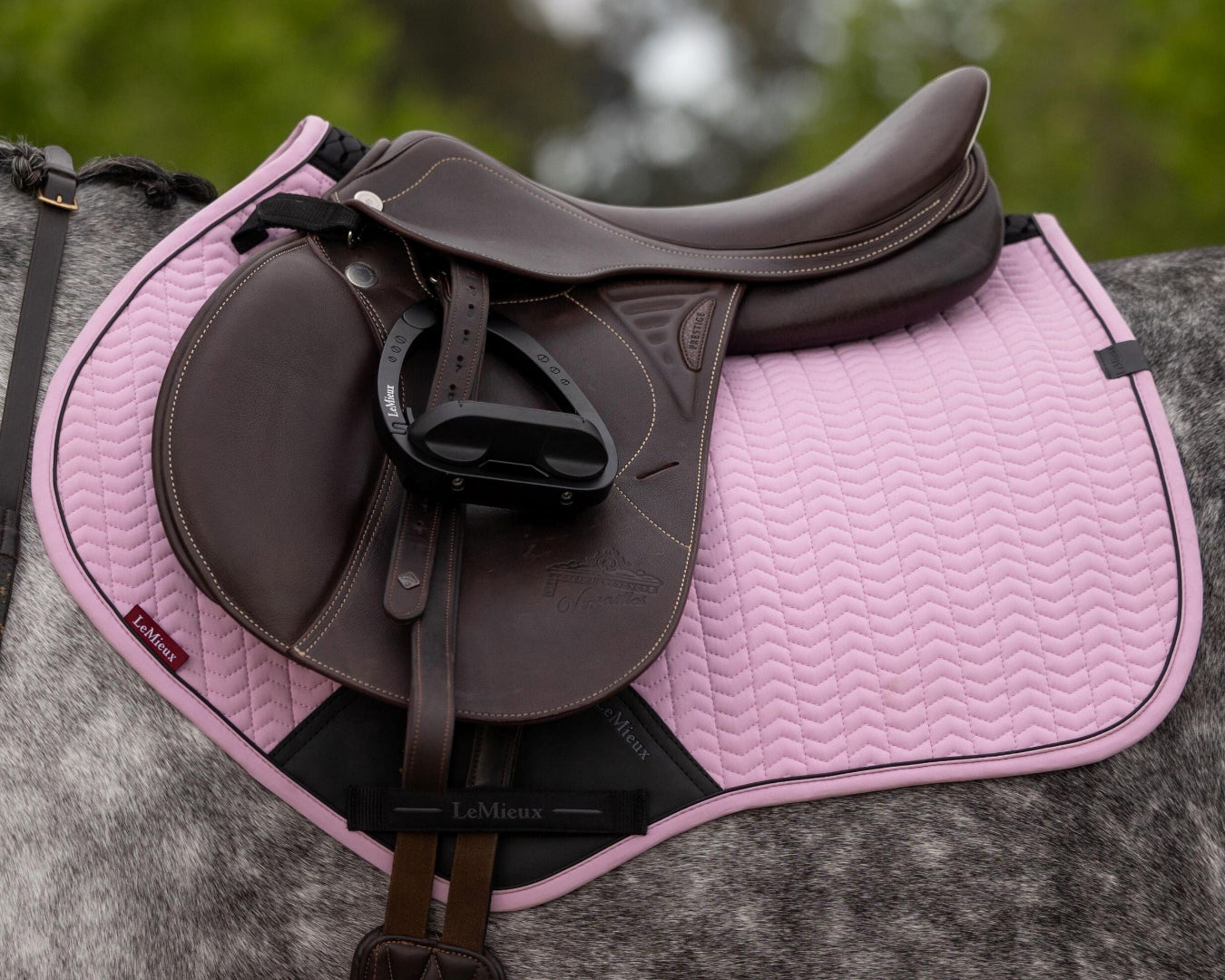 LeMieux Essence Close Contact Square Saddle Pad - Fondant Pink; on dappled gray horse with brown saddle outdoor background | Tack Shop | Malvern Saddlery