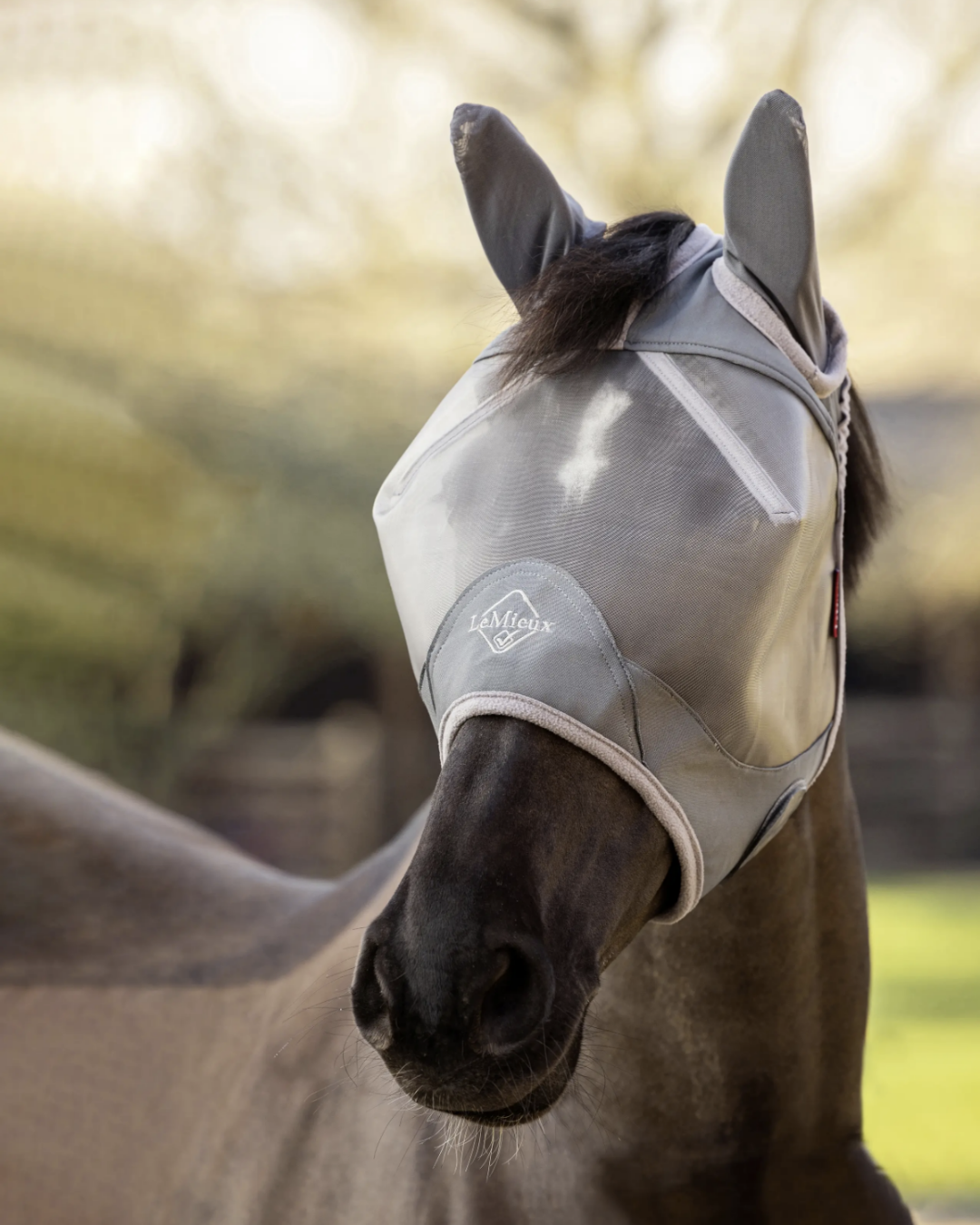 LeMieux Armourshield Pro Half Fly Mask - Gray; shown on brown horse with outdoor blurred background | Equestrian Fly Protection | Malvern Saddlery