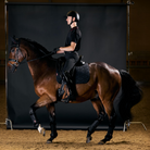 LeMieux ProForm Molded Dressage Saddle Pad - Black; shown on horse with rider | Malvern Saddlery