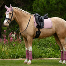 LeMieux Suede Dressage Square Saddle Pad - Blossom, shown on palomino horse with saddle & other accessories | Malvern Saddlery