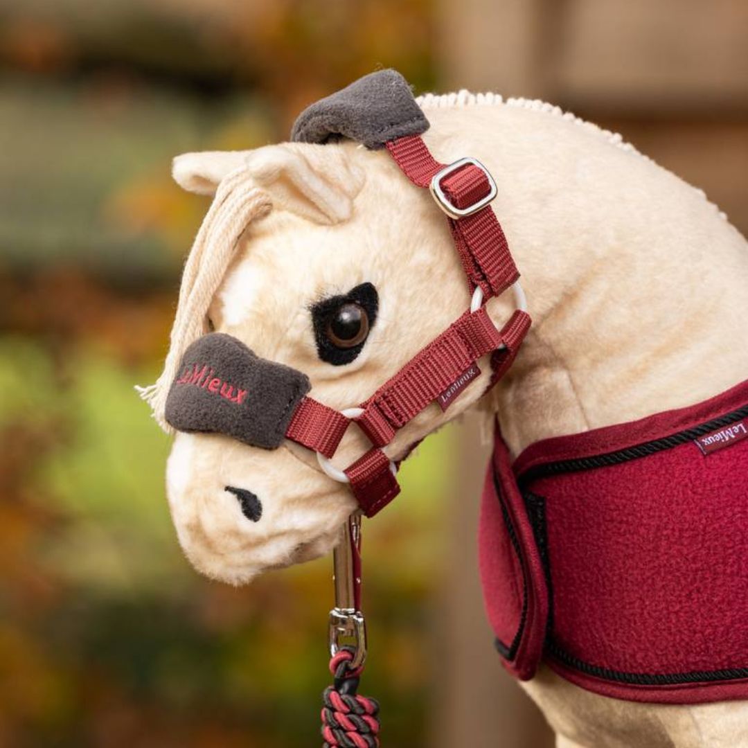 LeMieux Toy Pony Headcollar Halter - Ember, shown on Popcorn | Malvern Saddlery