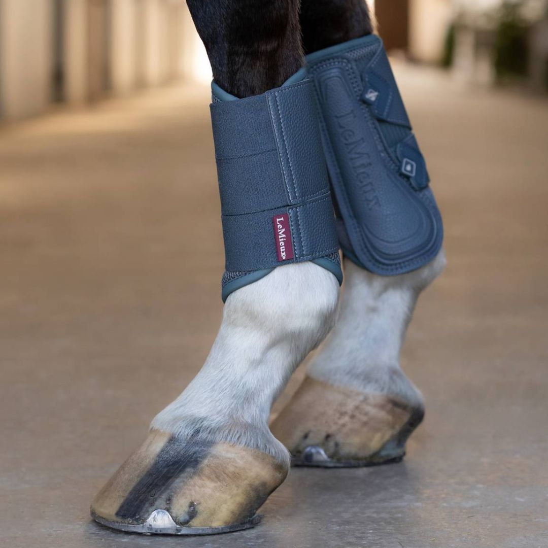 LeMieux Mesh Brushing Boots - Petrol | Malvern Saddlery