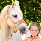 LeMieux Mini Vogue Headcollar & Lead Rope - Apricot | Malvern Saddlery